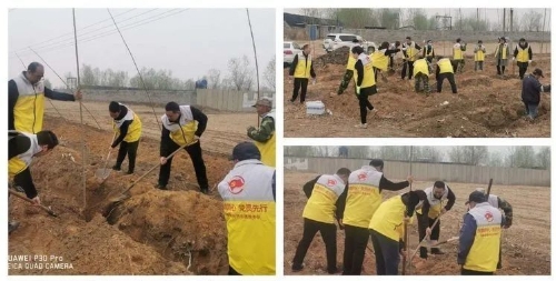 卑家店镇：田间地头，吹响“绿色集结号”