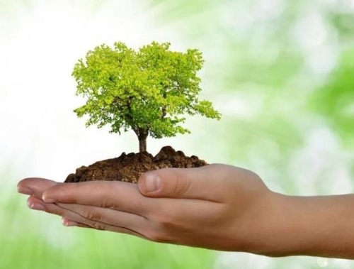 中金公司：未来40年实现“碳中和”约需140万亿元投资，电力、交运、建筑需求量最大