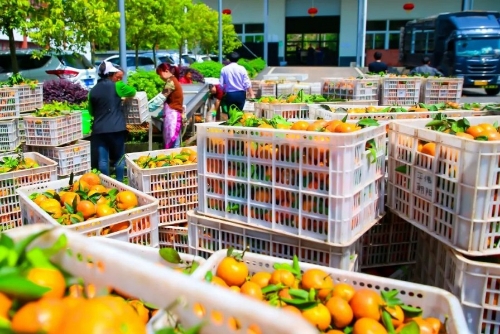 长寿再添9个绿色食品！有你常吃的吗？