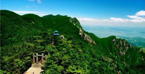 “红色旗帜”引领“绿色服务”