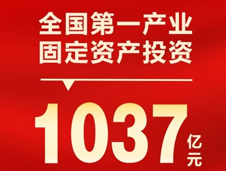 1-2月全国第一产业固定资产投资达1037亿元 同比增长61.3%