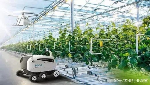 万亿级市场，中国智慧农业加速新探索，技术+产业是条不错的路子
