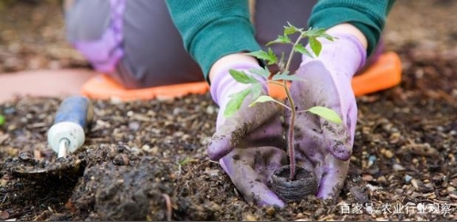 中国有机肥：千亿产值，政策持续发力，即将迎来黎明