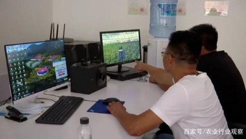 乡村振兴新引擎！农业产业园实现亩产值30万元，竟然是靠这3招