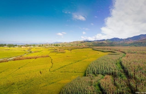 推动小农户和现代农业有机衔接