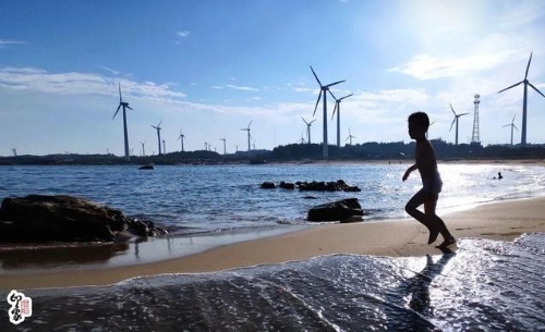 “大风车”转出绿色新动能