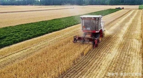  加快推进高标准农田建设（牢牢把住粮食安全主动权）