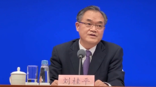 刘桂平：要着力构建全面维护金融稳定的“四梁八柱”