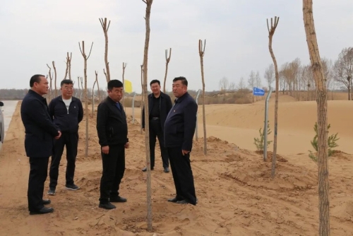 延伸绿色 传承精神 额登毕力格调研督导乌审召镇生态建设时强调：抢时间 保质量 提档次 全力推进生态…