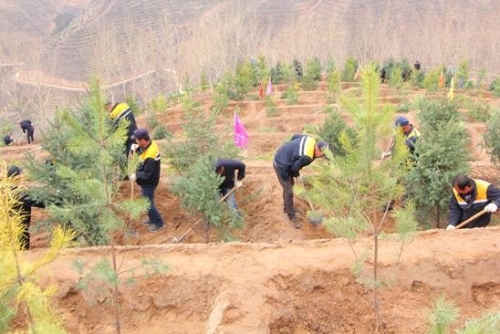 植绿护绿 持续推进“绿色天路”建设