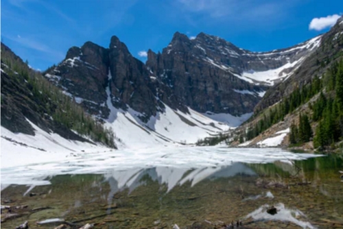 2020年全球十大环境热点公布 中国碳达峰哈碳中和目标入选