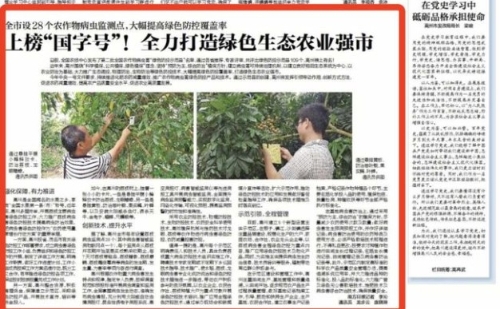 上榜“国字号”！高州全力打造绿色生态农业强市