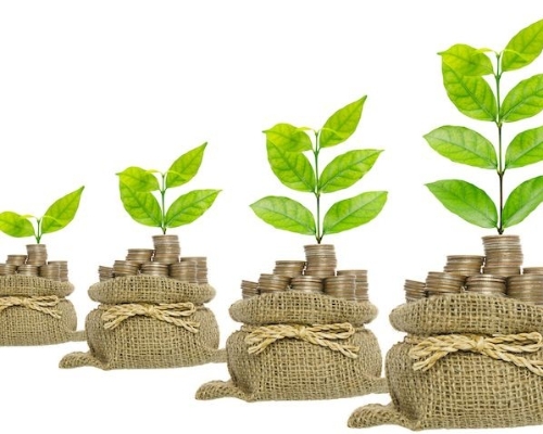 央行与IMF联合召开“绿色金融和气候政策”高级别研讨会