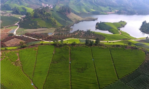 每年5000万奖补！这里推进乡镇绿色发展这么做……