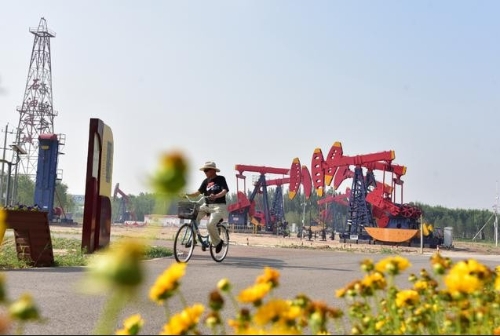 绿色低碳：胜利的颜值