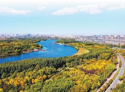 城市副中心長在森林裡 北京城市副中心建設國家綠色發展示范區