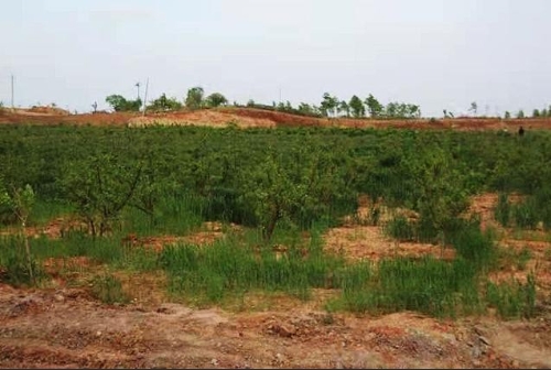 建设绿色矿山，造福一方百姓，宝丰县永顺铝土公司绿色发展纪实