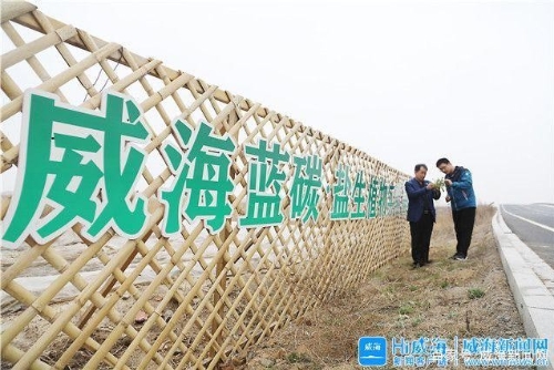 绿色发展下的威海蓝色“碳”索