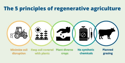 舌尖下的中国｜再生农业：恢复土壤，助力碳中和
