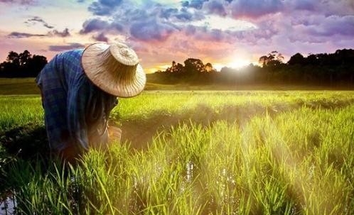 央视报道：推进农药的绿色发展丨绿会副理事长世界地球日专访