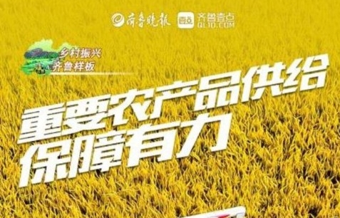 乡村振兴，山东这么干！