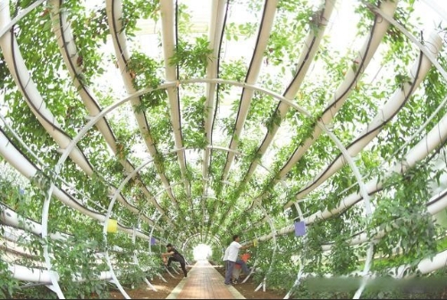 美丽中部 绿色崛起｜挺起县域经济新脊梁