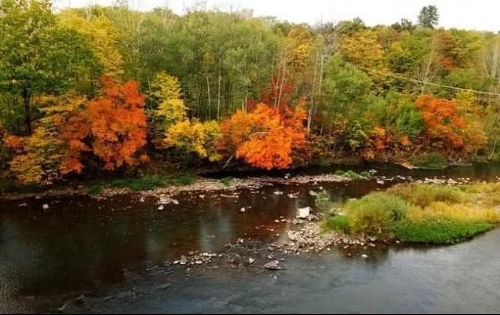 （东北振兴城市行）吉林白山：停伐之后打起“绿色牌”念起“生态经”