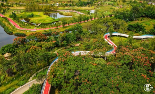 实现“双碳”目标，小小电火锅里有成都能源消费的绿色化转型