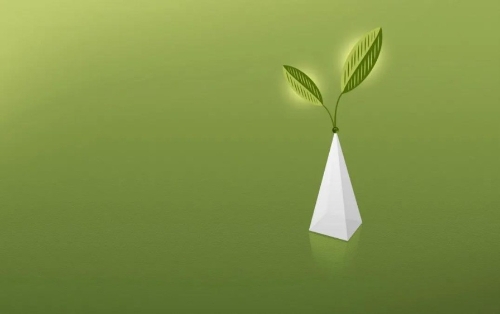 定制服务、优先投放 恒丰银行绿色金融的江苏探索样本