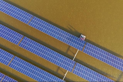 “渔光一体”实现蓝色动能绿色发展（2）