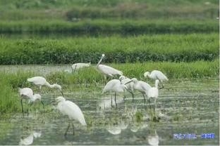 红色党建引领绿色发展 高州古丁镇生态开发显成效