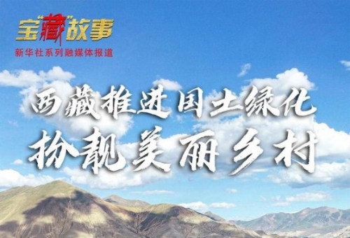 宝“藏”故事｜绿色奇迹！西藏推进国土绿化扮靓美丽乡村