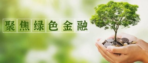 “双碳”目标下，头部险企打出“组合拳”｜聚焦绿色金融