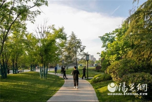 持续释放“绿色福利”让更多的市民享受到的城市风光