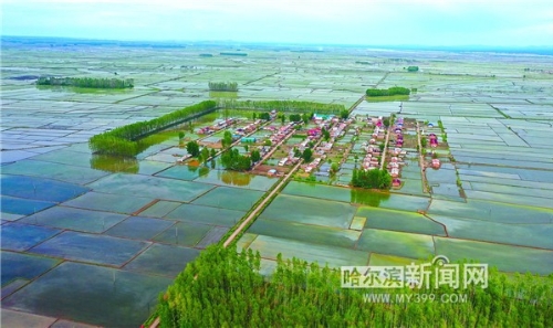 绿色好环境成致富“金饭碗”