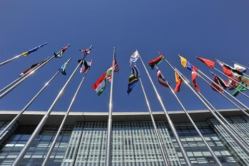 加强国际合作，携手推动绿色复苏（国际视点）