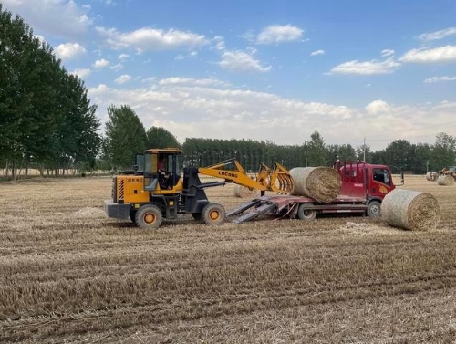 通许县玉皇庙镇 黄色秸秆变身绿色原料 全域党建助力秸秆禁烧