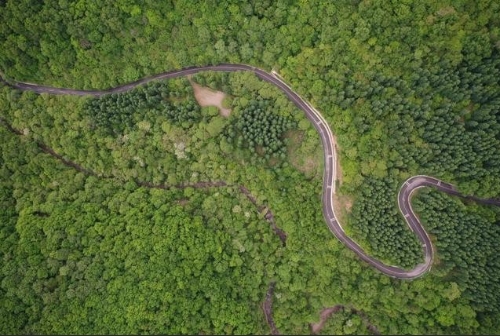 西海固变绿，这绿色是希望之源！