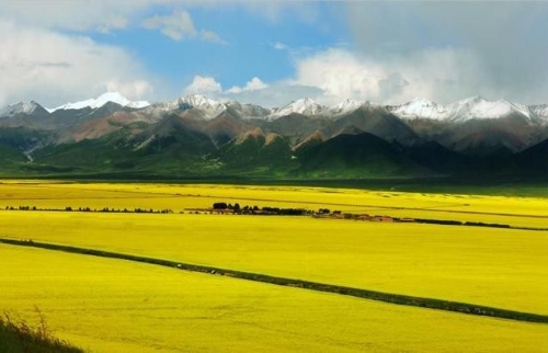 擘画绿色农牧生态蓝图