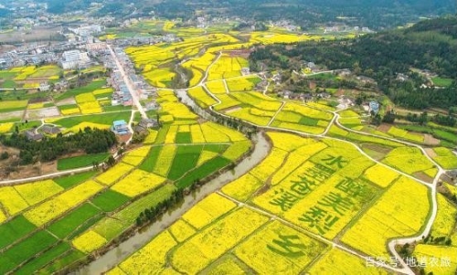 乡村振兴五大发展模式，看你的村子合适哪个？