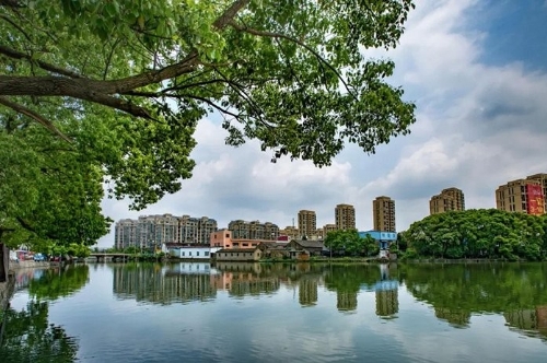 宁波绿色社区来了，今年要建264个