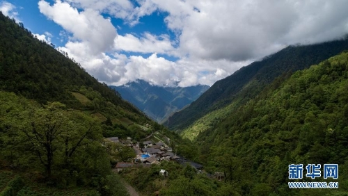 种下绿色的希望——中国推进生态扶贫成效综述