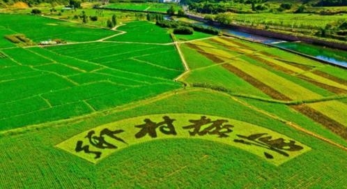 安徽省部署谋划一批乡村振兴重点项目