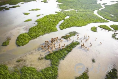 江苏盐城大丰：绿色发展绘新卷