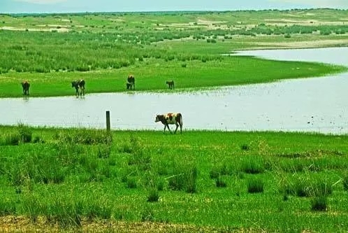 健全七大体系 明确二十五条措施 内蒙古加快构建现代环境治理体系