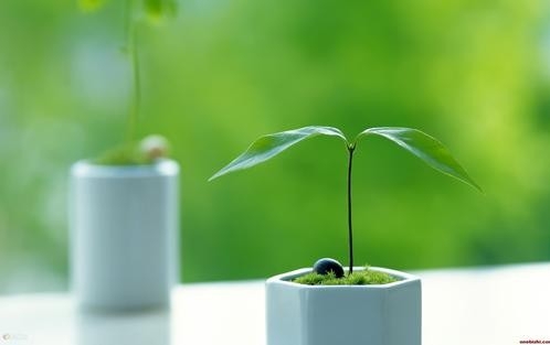 人民日报刊评：绿色金融助力高质量发展