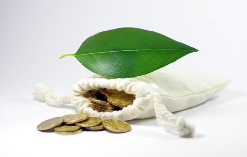 清洁技术泡沫已成历史，中美风投再掀绿色投资浪潮