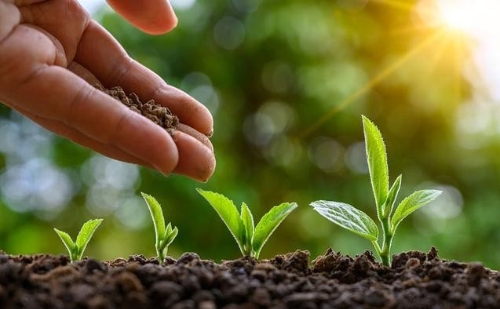 “彰显了中国绿色发展的坚定决心”