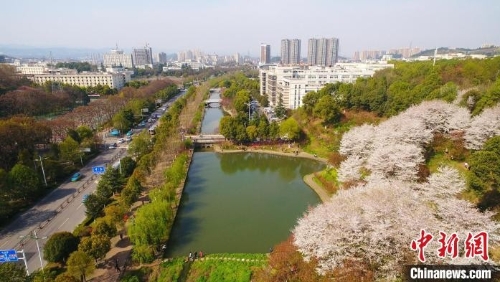 湖北首个高校全场景绿色低碳综合能源项目启动