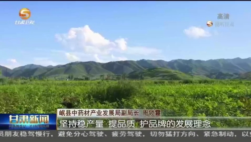 甘肃:加快中医药产业发展 打造甘肃绿色产业新“名片”